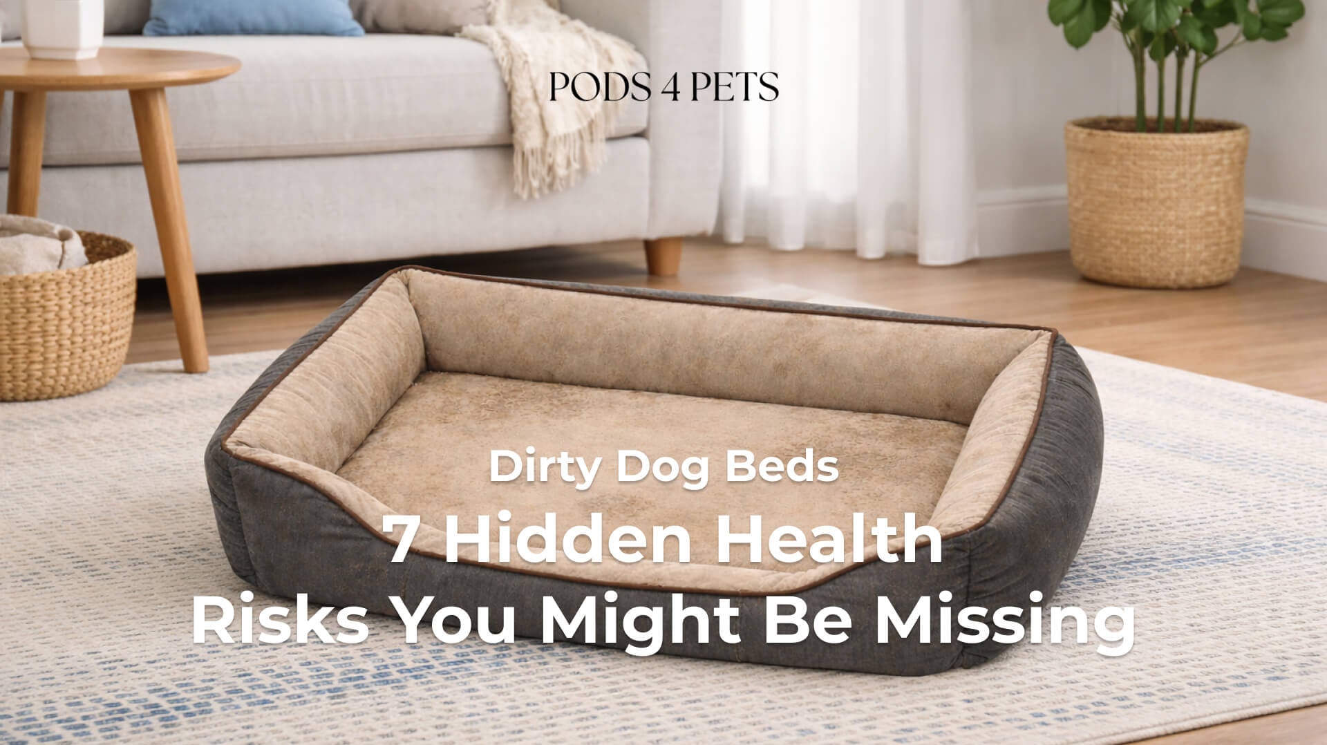 Dirty Dog Beds