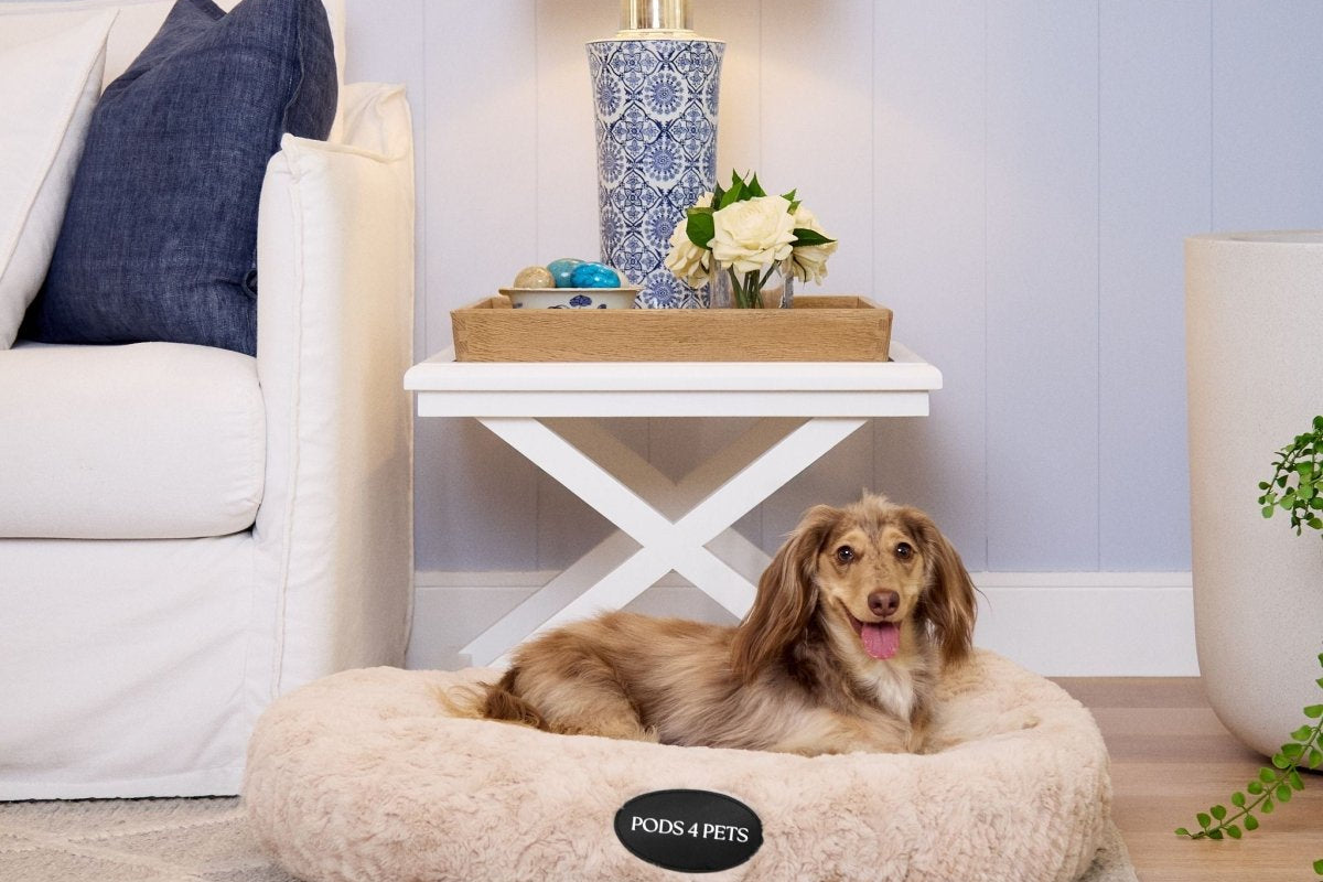 Hugo Sand Medium Pod