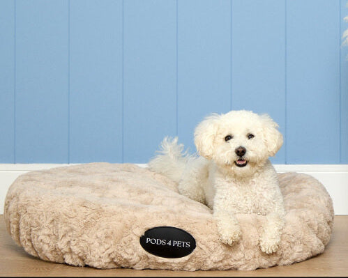 Frank Small Pods4Pets