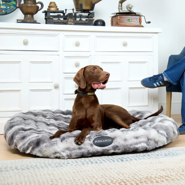 Kimba Two Tone Grey