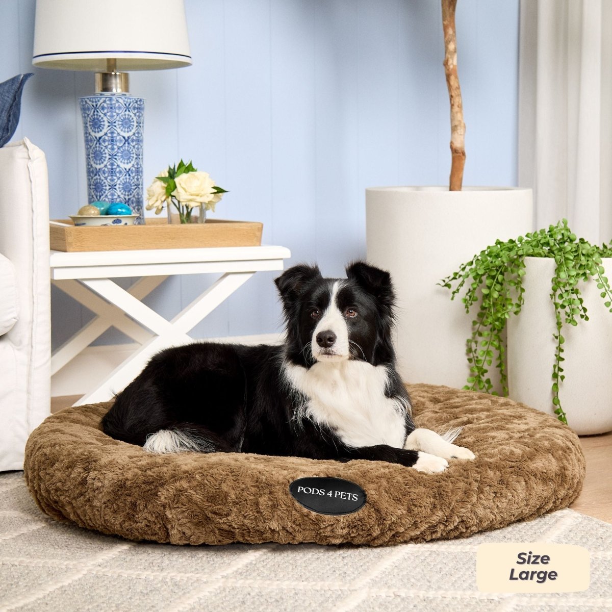 Tokyo Large Pod Oak Color